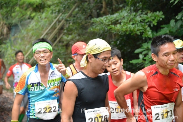 Raymond 393