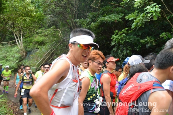 Raymond 429