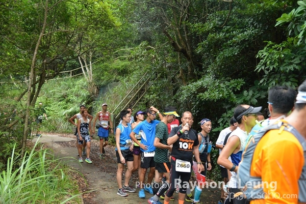 Raymond 439