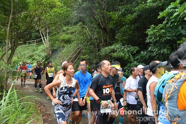 Raymond 442