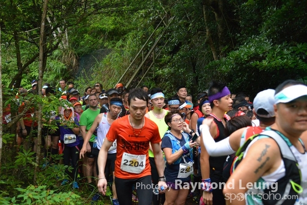 Raymond 480