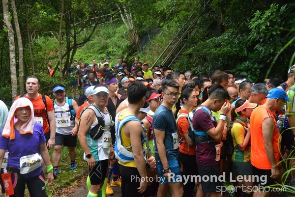 Raymond 481