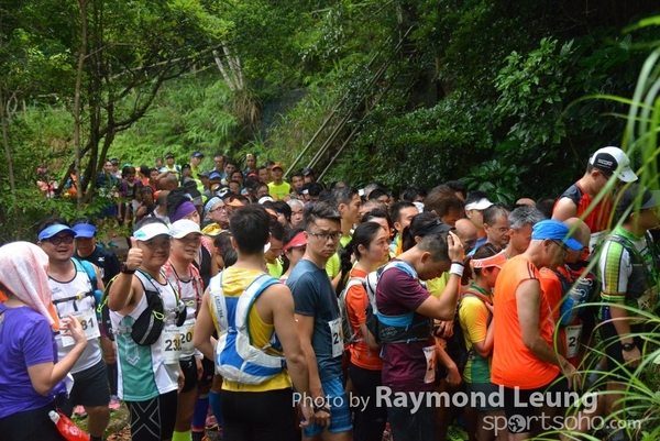 Raymond 482