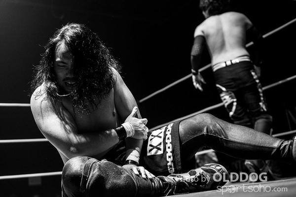 Wrestling (5)