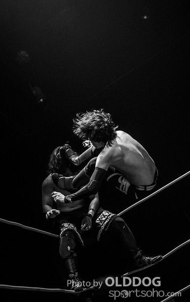 Wrestling (6)