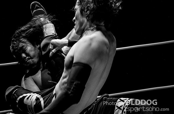 Wrestling (8)