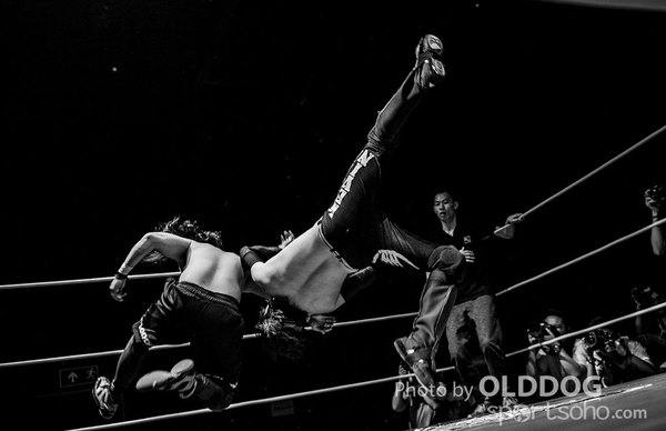 Wrestling (9)