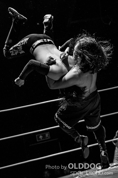 Wrestling (11)