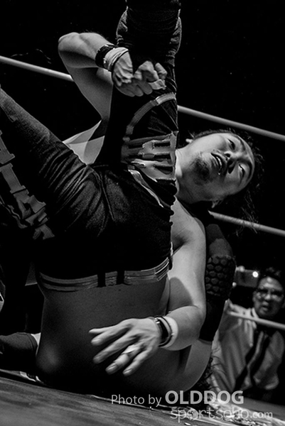 Wrestling (12)