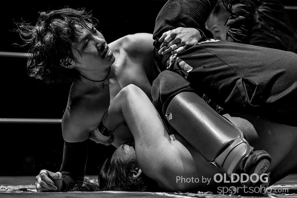 Wrestling (13)