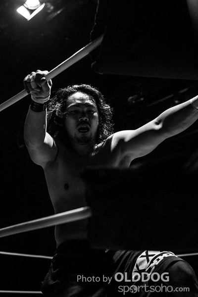 Wrestling (15)