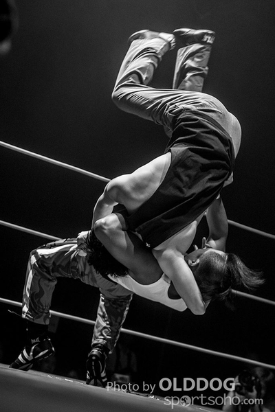 Wrestling (19)