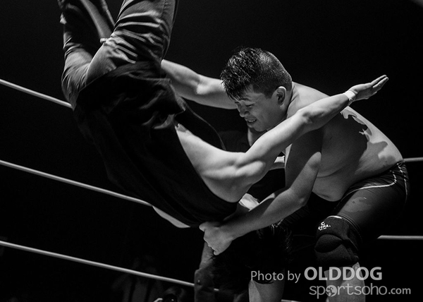 Wrestling (21)