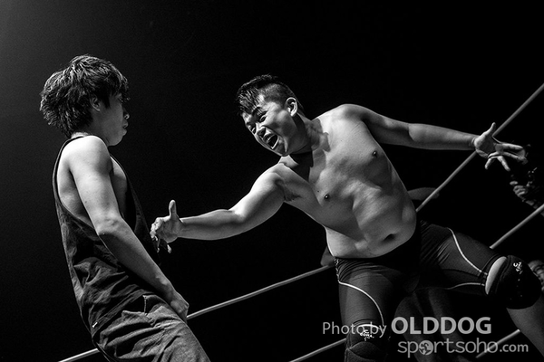 Wrestling (22)