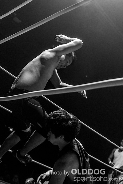 Wrestling (23)