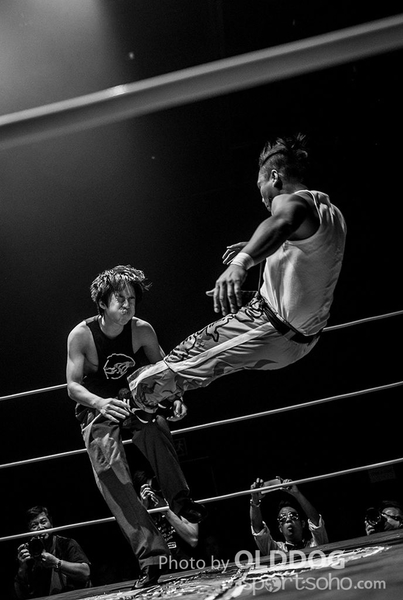 Wrestling (24)