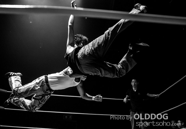 Wrestling (25)