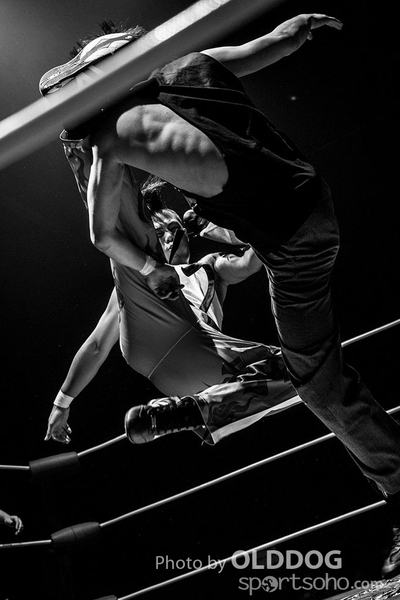 Wrestling (26)