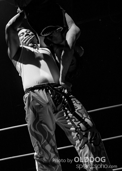 Wrestling (27)
