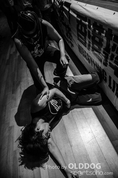 Wrestling (29)