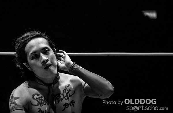Wrestling (31)