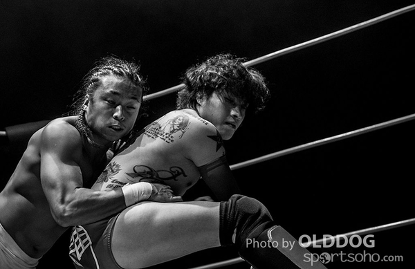 Wrestling (32)