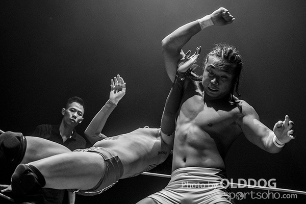 Wrestling (33)