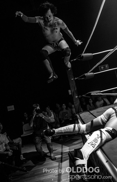 Wrestling (36)