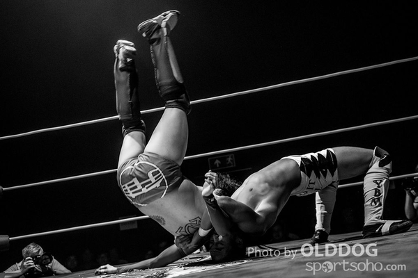 Wrestling (37)
