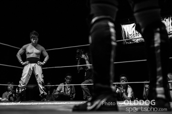 Wrestling (39)