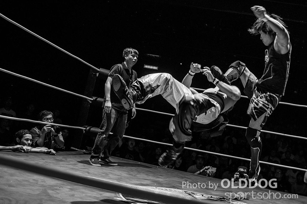 Wrestling (43)