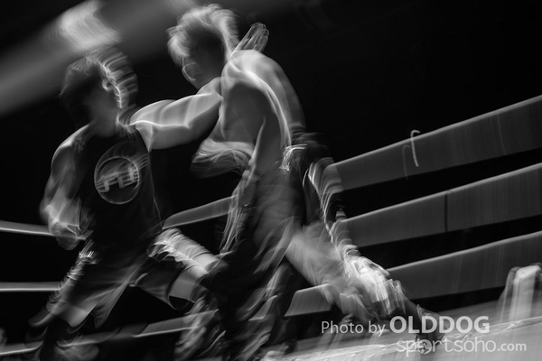 Wrestling (47)