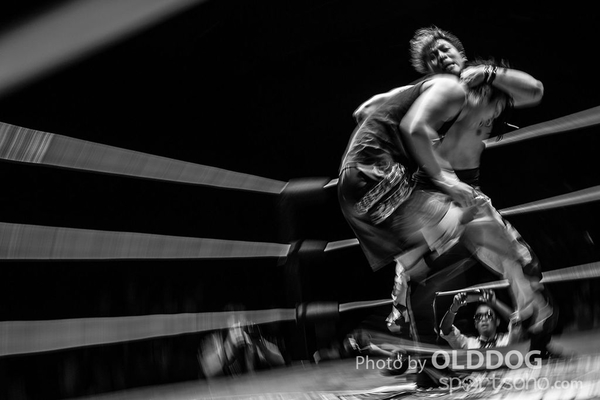 Wrestling (49)