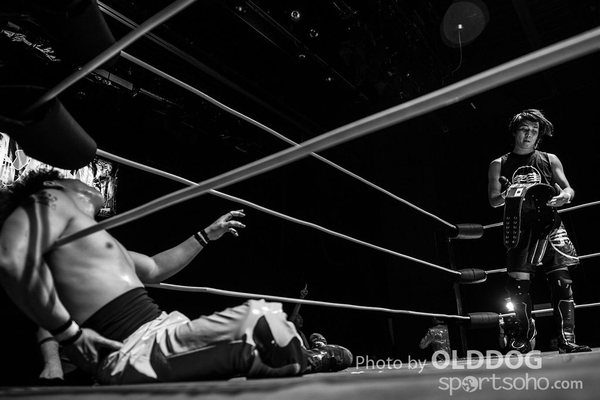 Wrestling (53)