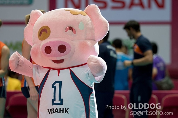Volleyball D2 (24)