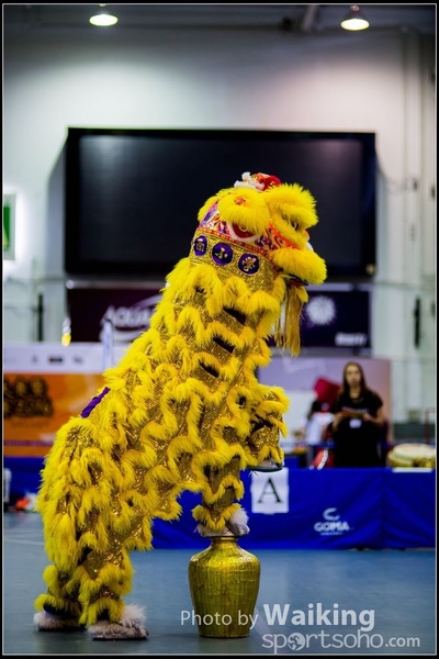2016-07-03 Lion Dance 0005