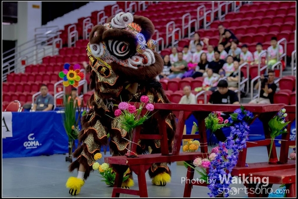 2016-07-03 Lion Dance 0037