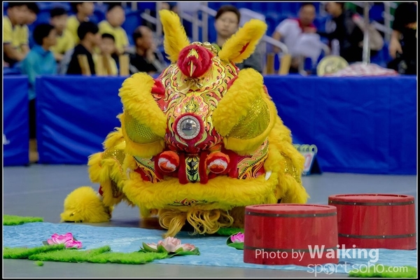2016-07-03 Lion Dance 0044