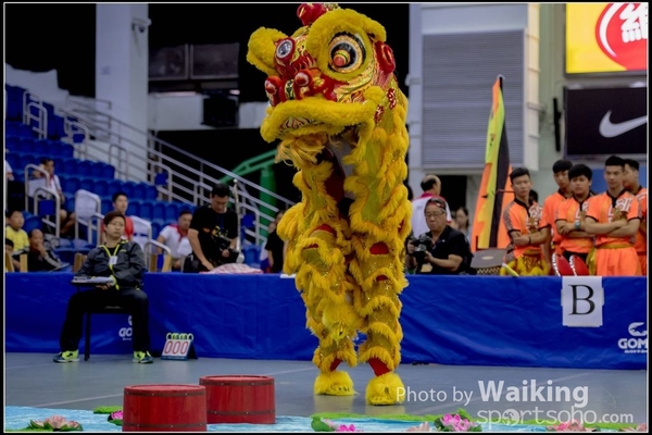 2016-07-03 Lion Dance 0045