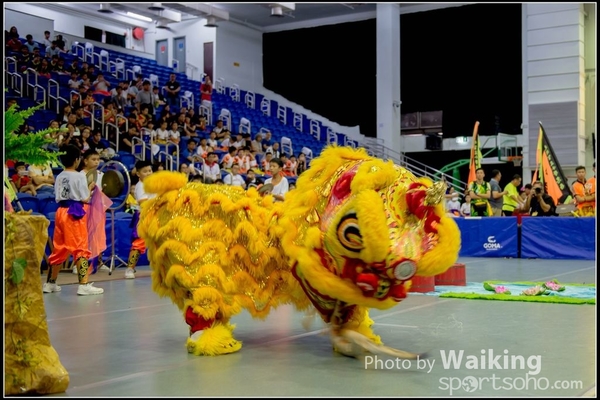 2016-07-03 Lion Dance 0050