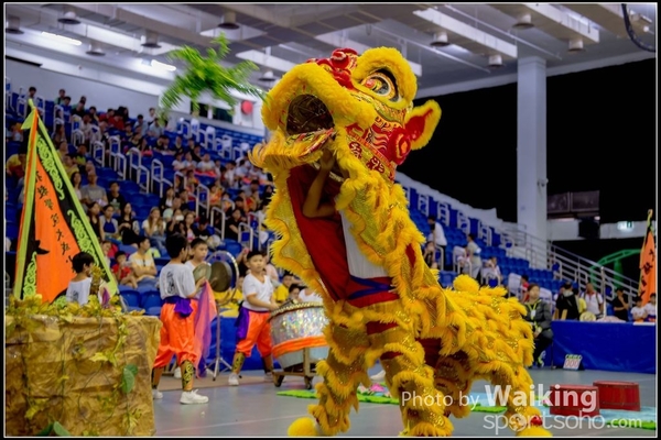 2016-07-03 Lion Dance 0052