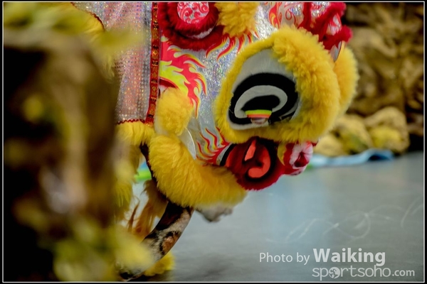 2016-07-03 Lion Dance 0057