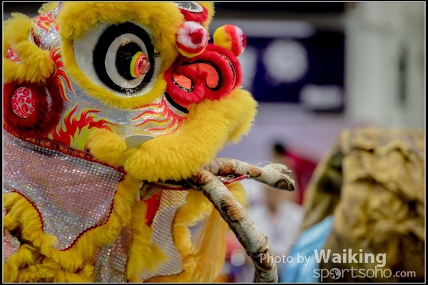 2016-07-03 Lion Dance 0058