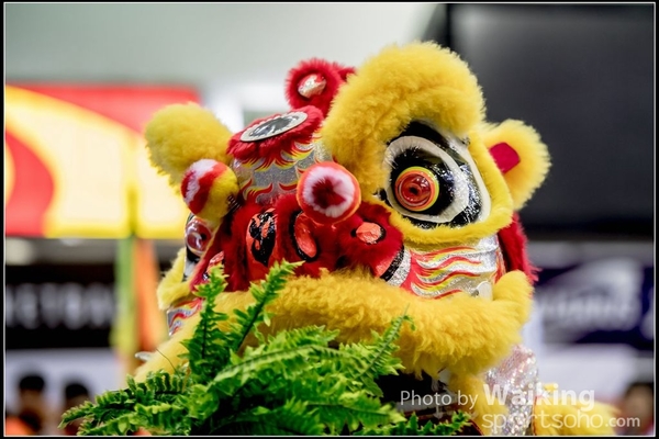 2016-07-03 Lion Dance 0060