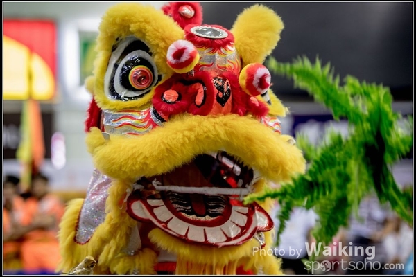 2016-07-03 Lion Dance 0062