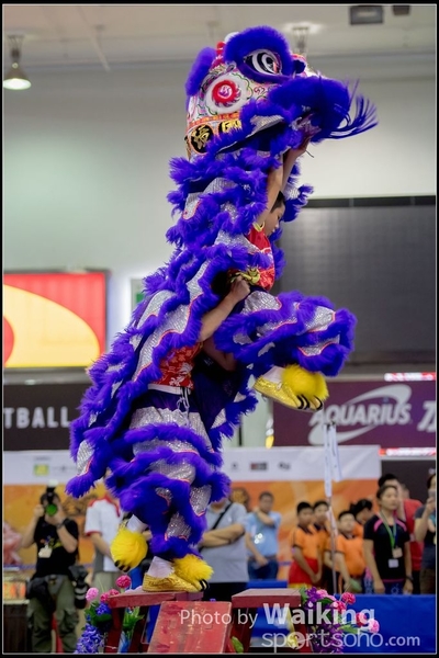 2016-07-03 Lion Dance 0079