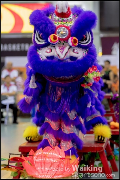 2016-07-03 Lion Dance 0085