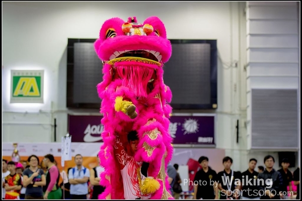 2016-07-03 Lion Dance 0136