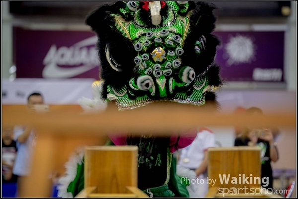 2016-07-03 Lion Dance 0146