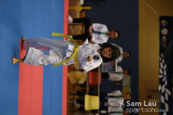 SAM_6773